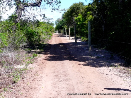 Arabuko Sokoko Forest border